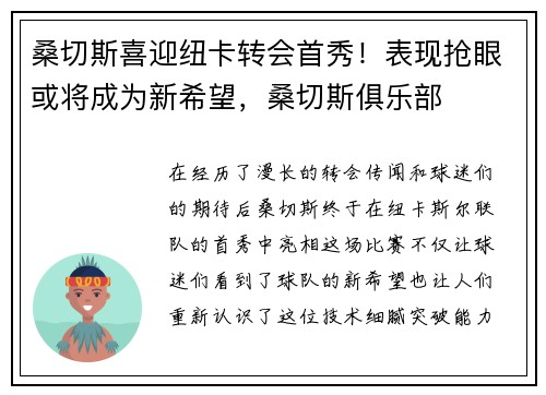 桑切斯喜迎纽卡转会首秀!表现抢眼或将成为新希望,桑切斯俱乐部